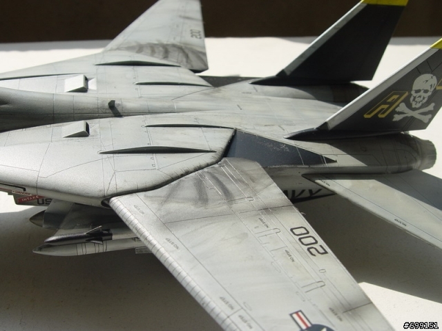 [分享] 總算完成的1/48富士貓  F-14A