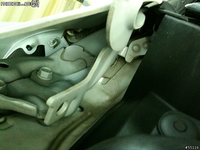 不是只有摩托車上會有蛇，我的車也發生蛇蛇危機