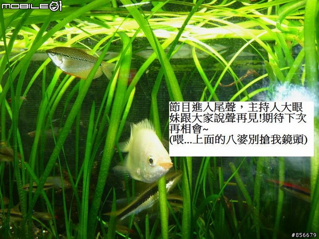 NEW DINK180i與GJMS GP-2的初體驗!!!