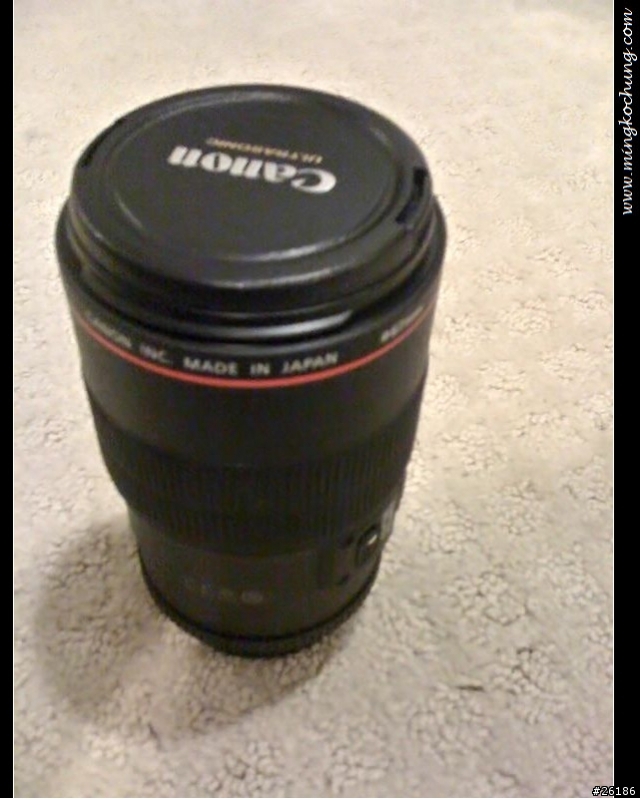 [簡易開箱]EF 100mm f/2.8L Macro IS USM(補上簡單測試)