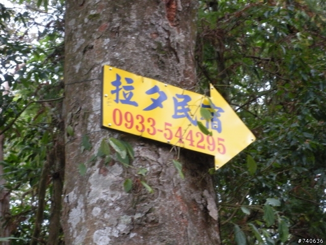 2009 林北三熟男之雪見之役