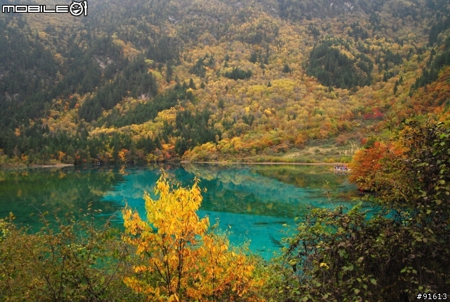 [分享-九寨溝] 絕塵九寨水如仙---峨眉樂山蜀中行