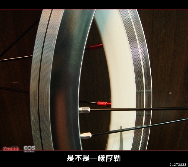 {分享}~不再是dahon專屬的星芒輪組~