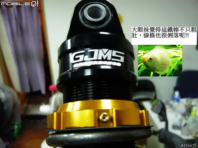 NEW DINK180i與GJMS GP-2的初體驗!!!