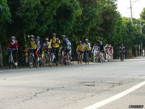 ﹝照片分享﹞雲林塔可--98/10/11鹿港天后宮逍遙遊