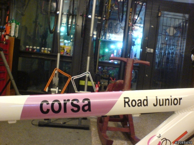 小孩專屬公路車