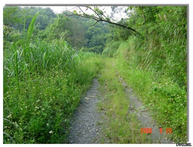 已成絕響的路--師大分部至泥火山