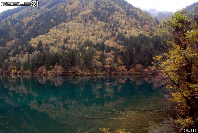 [分享-九寨溝] 絕塵九寨水如仙---峨眉樂山蜀中行