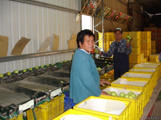 [騎車分享]參山國家風景區之梨山段輕鬆騎