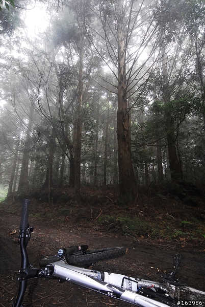 雪見之司馬限林道+後段offroad