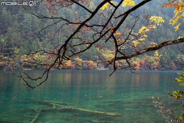 [分享-九寨溝] 絕塵九寨水如仙---峨眉樂山蜀中行