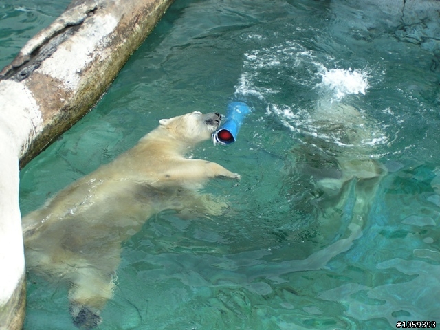 分享澳洲黃金海岸海洋世界遊樂場（SEA WORLD）