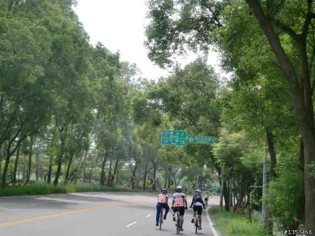 １０／１８台中直達梅山３６彎完封～第一次騎最遠的距離