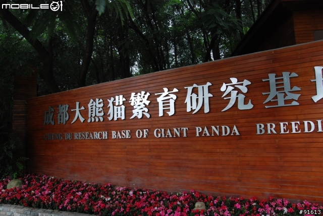 [分享-九寨溝] 絕塵九寨水如仙---峨眉樂山蜀中行