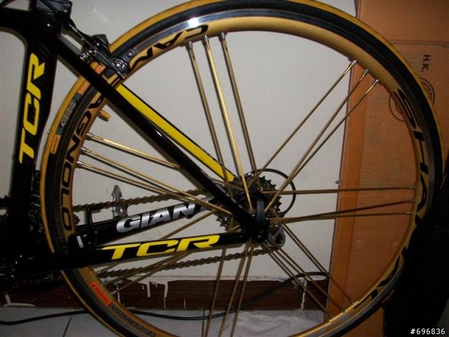 分享我的新輪組Campagnolo shamal金色瞎貓