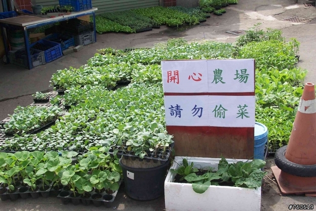 ~~開心農場,請勿偷菜~~