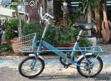 請問各位大大知道這台16吋捷安特的資訊或型號嗎?