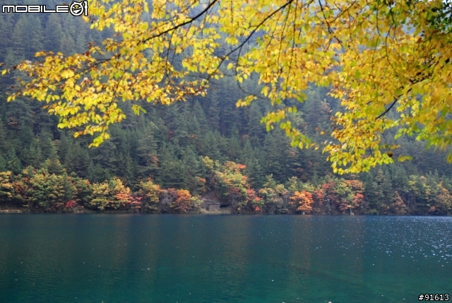 [分享-九寨溝] 絕塵九寨水如仙---峨眉樂山蜀中行