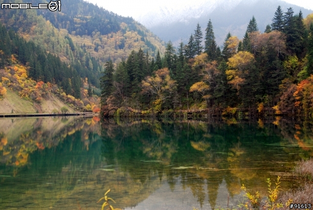 [分享-九寨溝] 絕塵九寨水如仙---峨眉樂山蜀中行