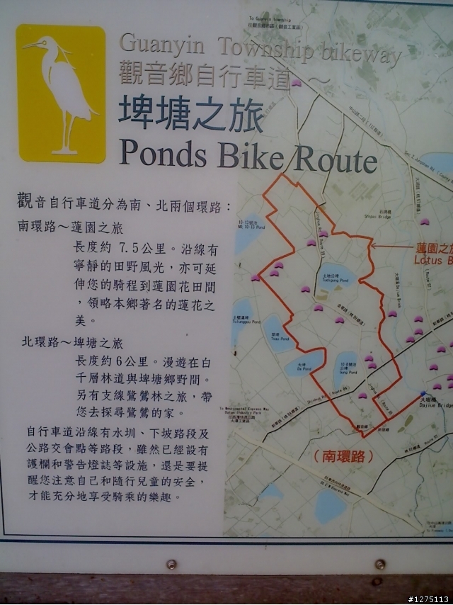桃園觀音埤塘/鷺鷥車道