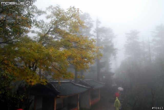 [分享-九寨溝] 絕塵九寨水如仙---峨眉樂山蜀中行