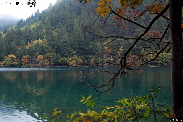[分享-九寨溝] 絕塵九寨水如仙---峨眉樂山蜀中行