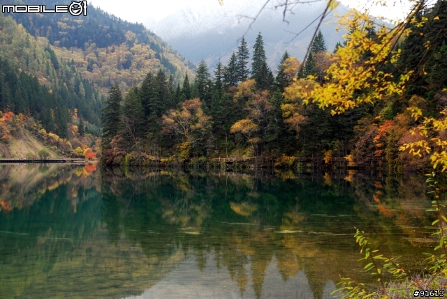 [分享-九寨溝] 絕塵九寨水如仙---峨眉樂山蜀中行