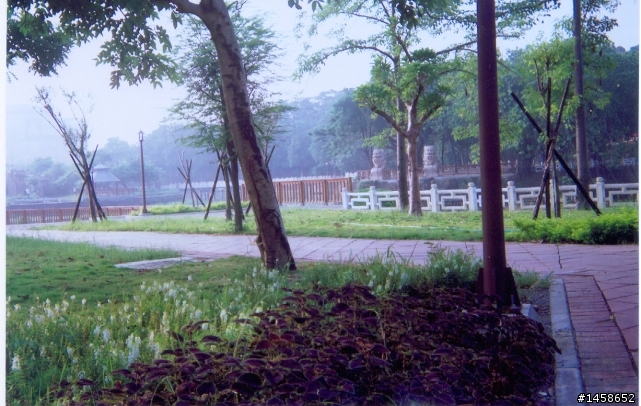 進入 120 的世界的新手 - Agfa Clack 實照
