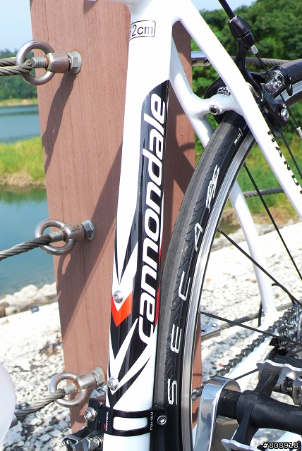 cannondale+DIADORA CAAD9 限量車架入手發表文