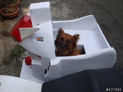 小豹鋼彈邊車-"不專業改裝部"