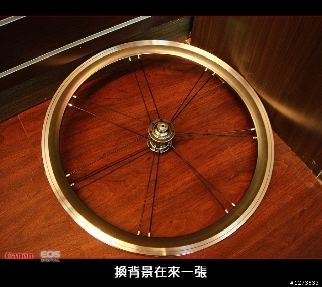{分享}~不再是dahon專屬的星芒輪組~
