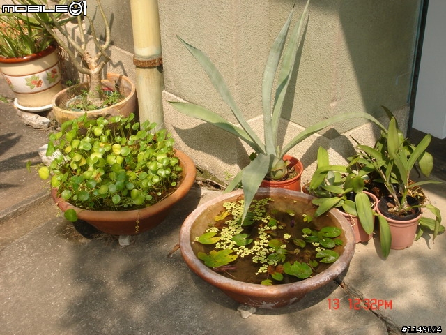 [活動]台中酒廠的台灣設計博覽會~讚喔(已附圖)