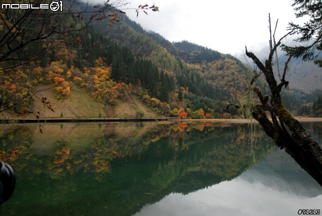 [分享-九寨溝] 絕塵九寨水如仙---峨眉樂山蜀中行
