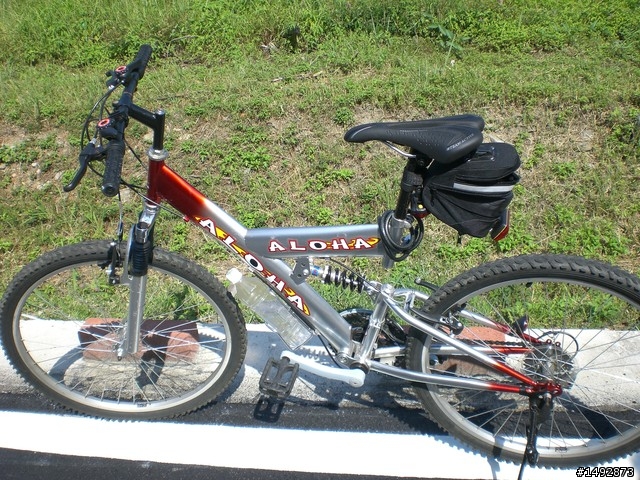 人生第一台 公路車~RB-660