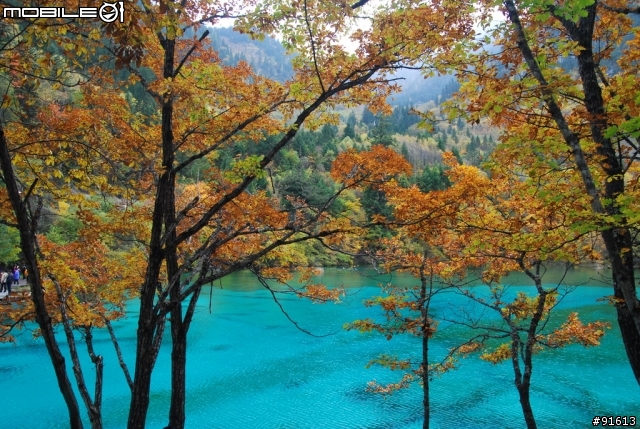 [分享-九寨溝] 絕塵九寨水如仙---峨眉樂山蜀中行
