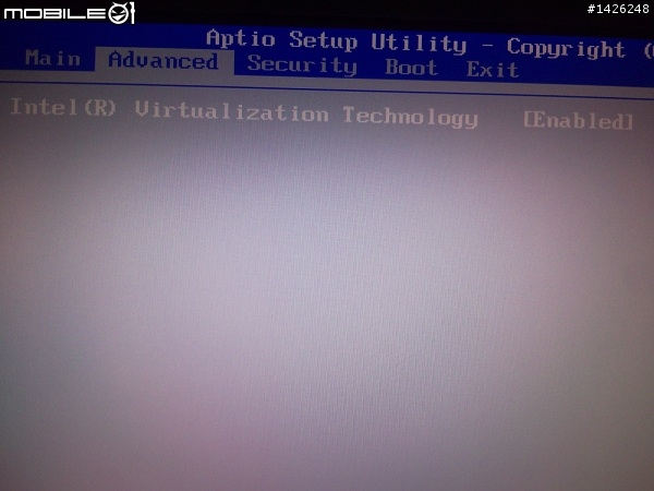 FW2系列VT解禁啦~這裡是R1100Y0版的BIOS~