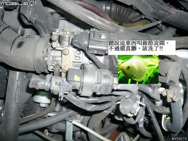NEW DINK180i與GJMS GP-2的初體驗!!!