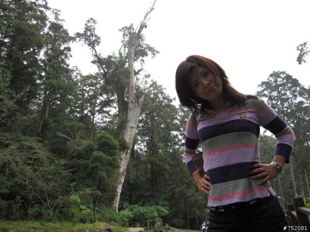 平鎮大桐半日遊