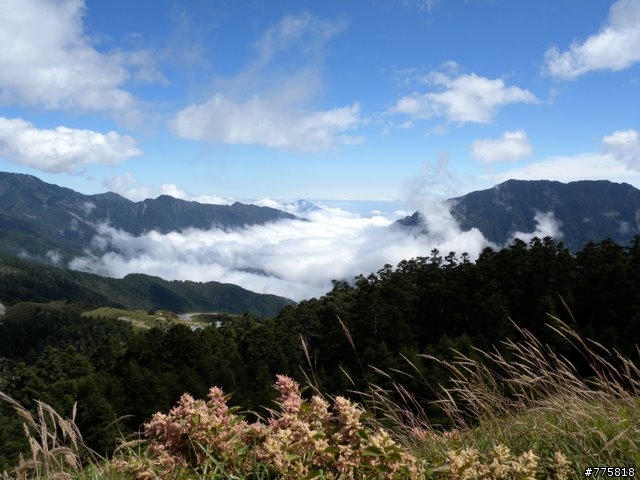 鐵腿(台語)二人組中橫二日遊（埔里至武嶺至花蓮）