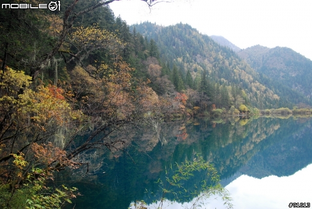 [分享-九寨溝] 絕塵九寨水如仙---峨眉樂山蜀中行