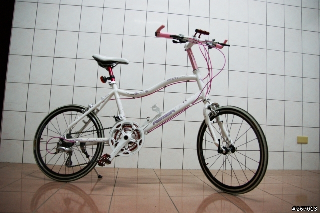 我的第一部女王車 ASTER CURVY 遲到的開箱...