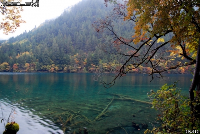 [分享-九寨溝] 絕塵九寨水如仙---峨眉樂山蜀中行