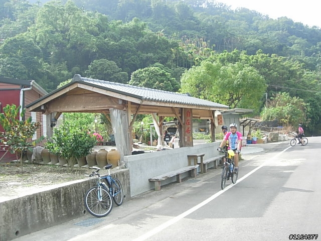 【團騎】11月22日(日)新社花海~要一起吃午餐的請快報名,前50名有贈品喔!