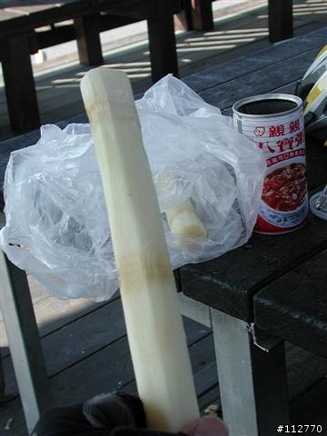 莊腳人莊腳咖 我環島記事 Day6