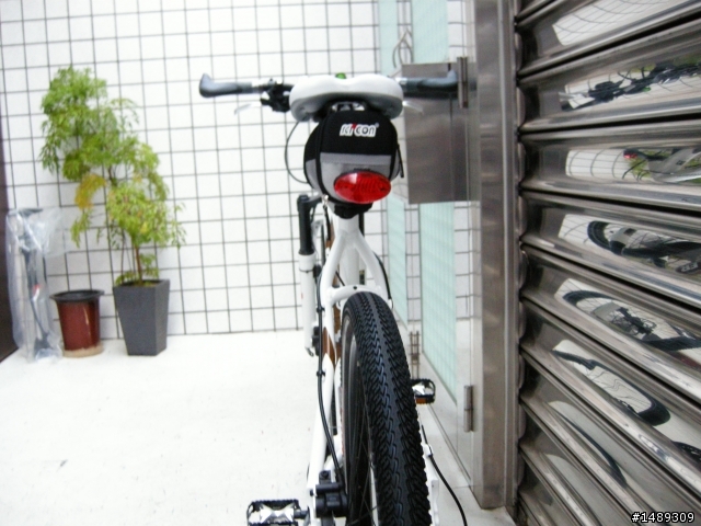 [分享]極不專業的新車分享 WHEELER PASSERA T55