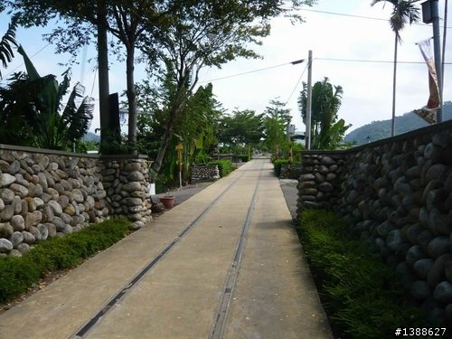 東豐綠色走廊