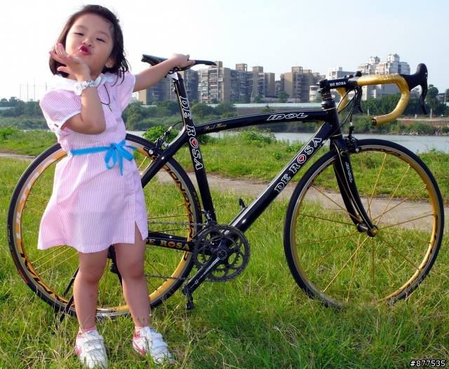 DE ROSA IDOL 獨一無二的義大利美后 客製版-金色