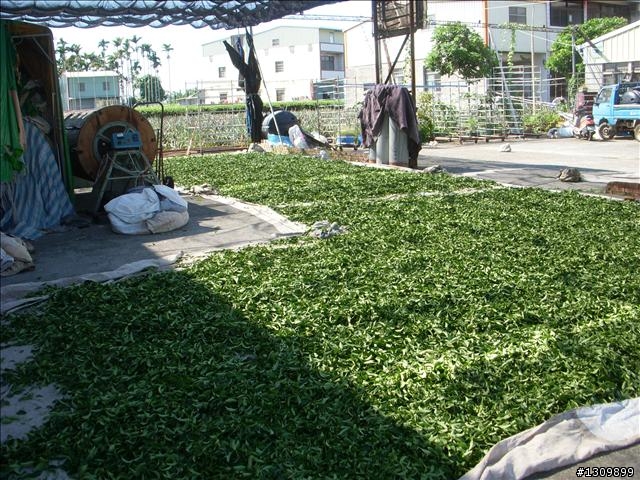 出發吧 ，帶著我的小折環島去