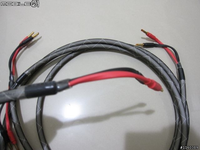 [分享] 房間2聲道綜擴系統 EVO10 -需意見