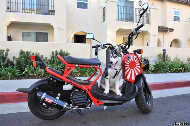 [分享]HONDA RUCKUS (ZOOMER)